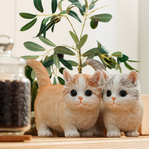 べニーズキャットの画像