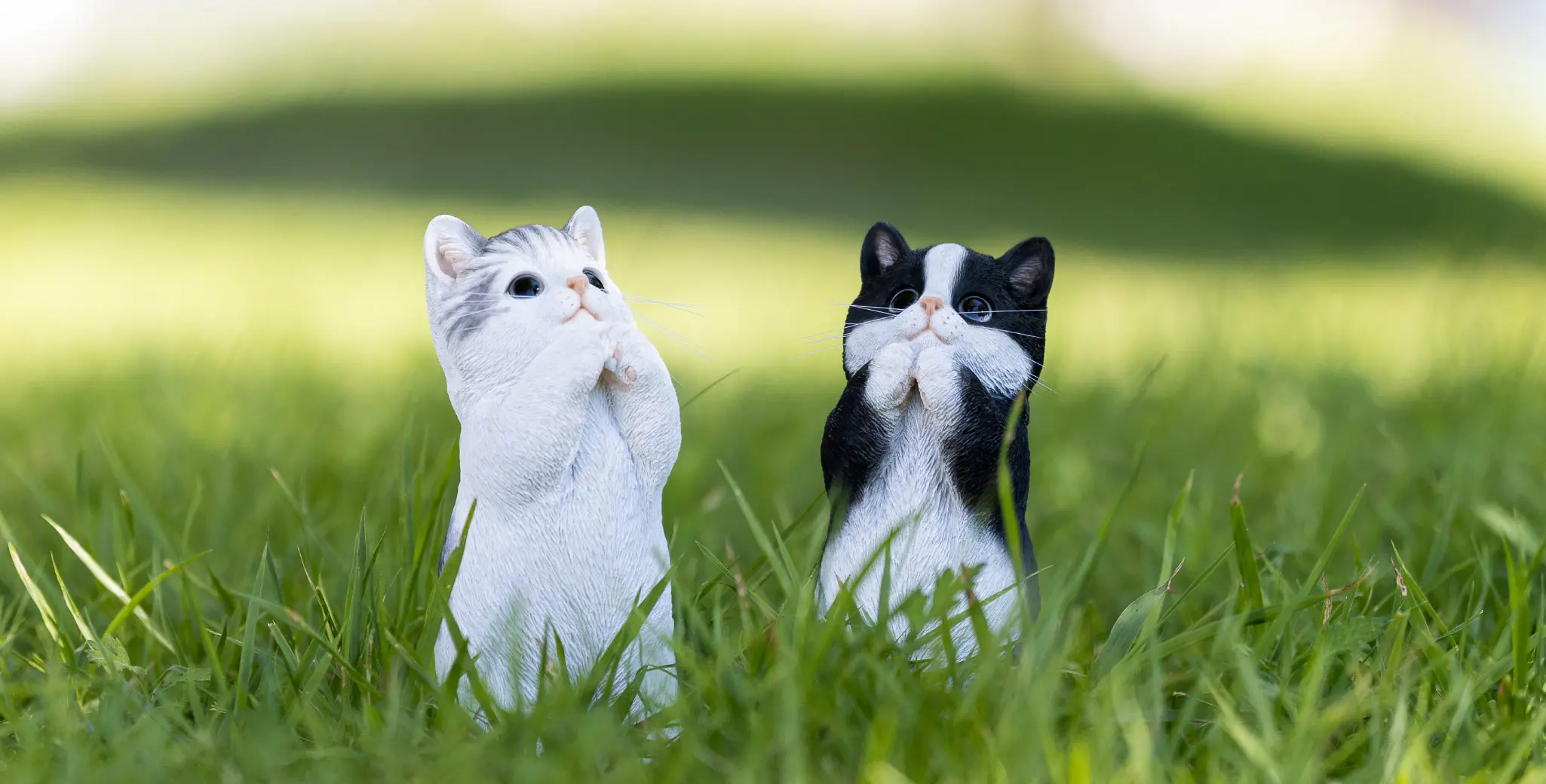 ベニーズキャット(ちょうだい)のバナー