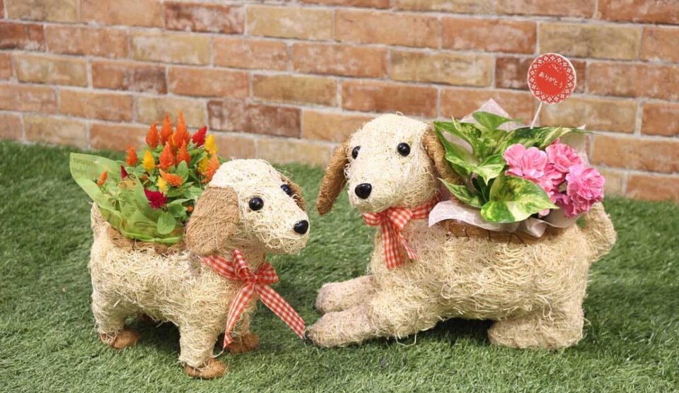 3-42S_3-43M_ZH-182ar