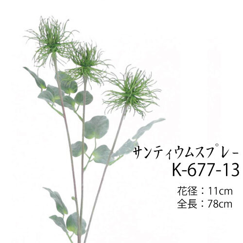 サンティウムスプレー
