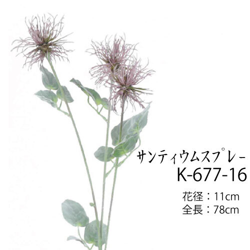 サンティウムスプレー