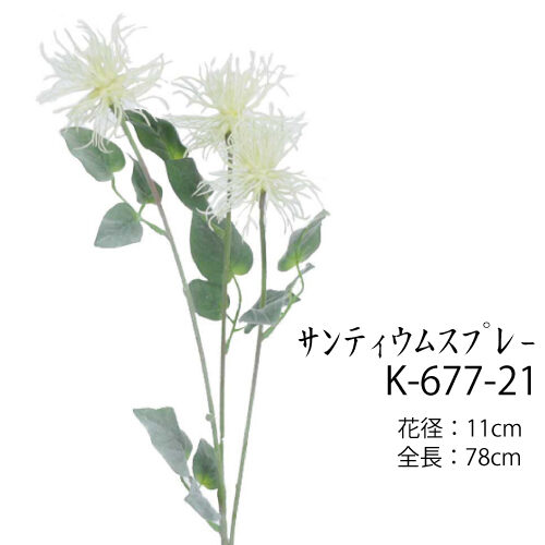 サンティウムスプレー