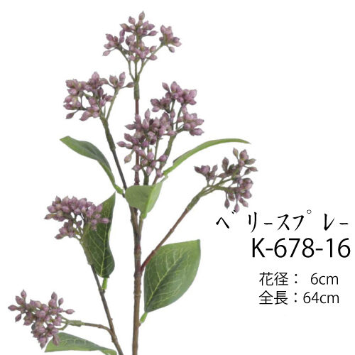 ベリースプレー