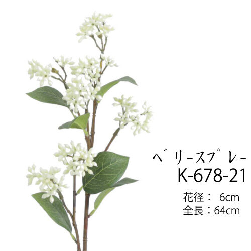 ベリースプレー