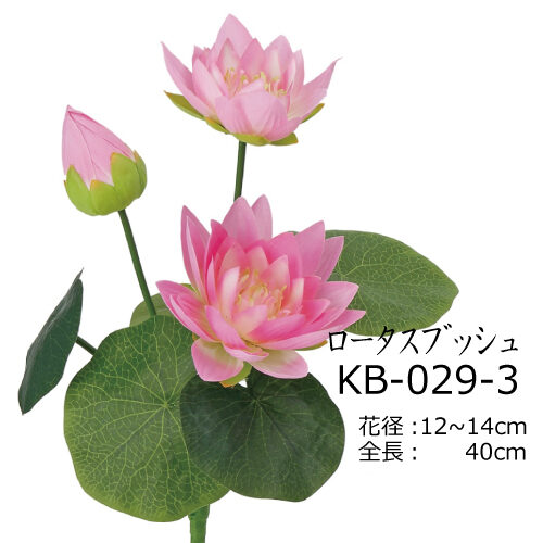 KB-029-3