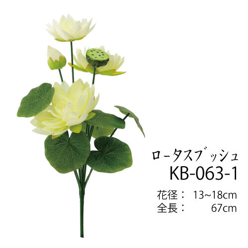 ロータスブッシュ