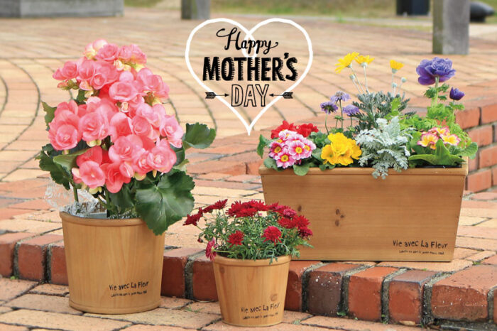 母の日木製鉢カバー