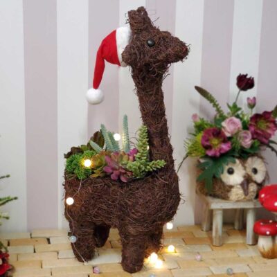 QY-02_3-079_3-083(3)