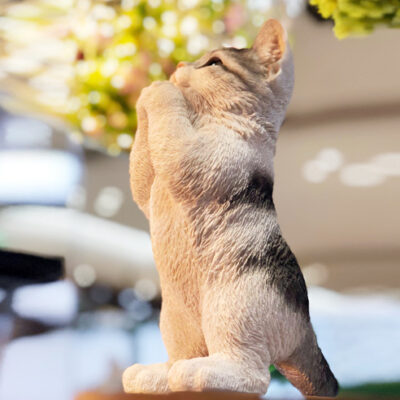 ベニーズキャット物語⑤